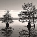 Lake Drummond