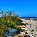 Grand View Island Nature Preserve 