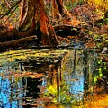 The Great Dismal Swamp 